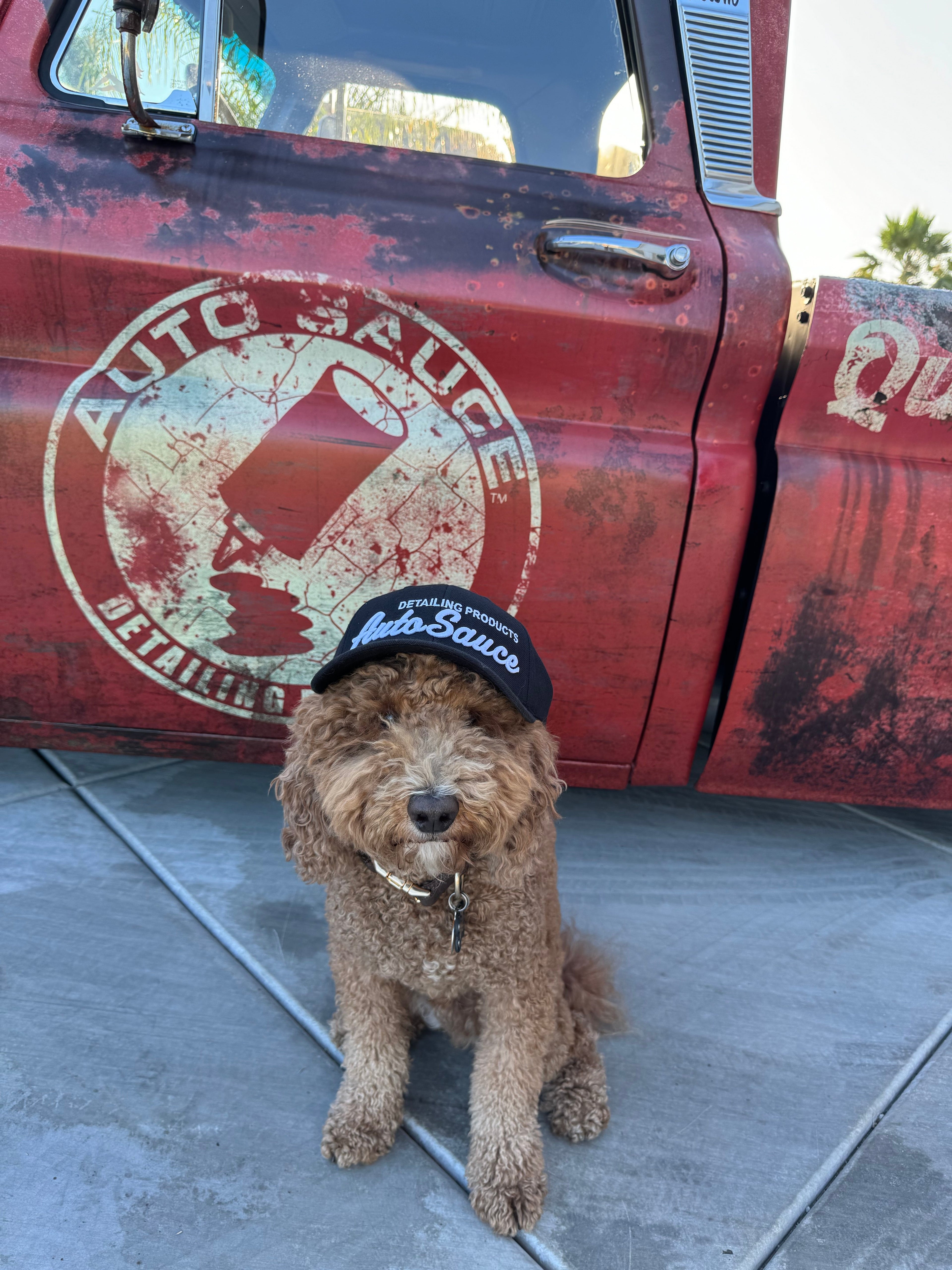 OG Auto Sauce Script Hat